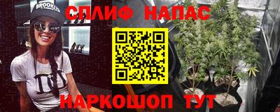 гидропоника Рязань