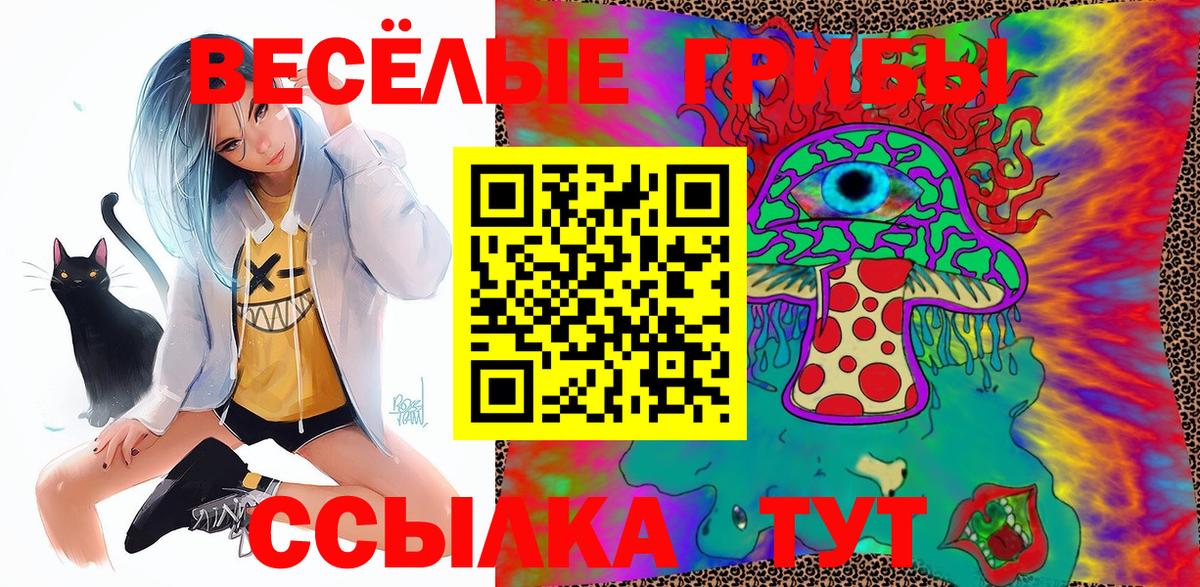 Новозыбков  Псилоцибиновые грибы мухоморы  Вход с VPN 