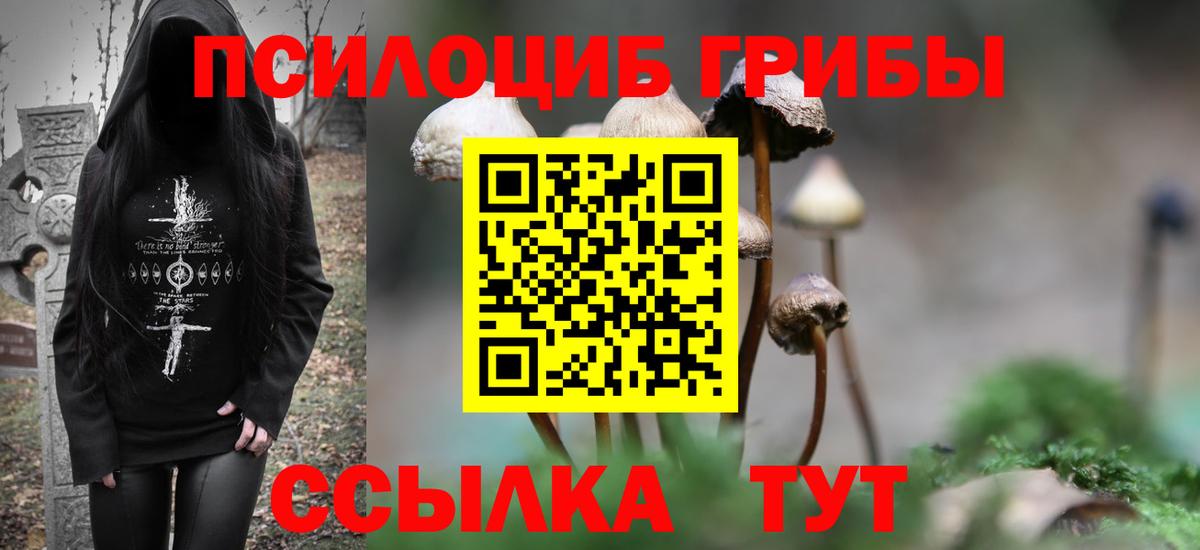 Псилоцибиновые грибы GOLDEN TEACHER Новозыбков