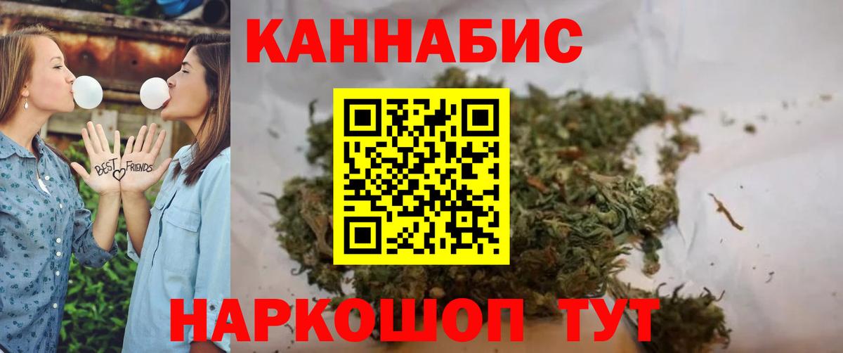 Канабис семена Новозыбков